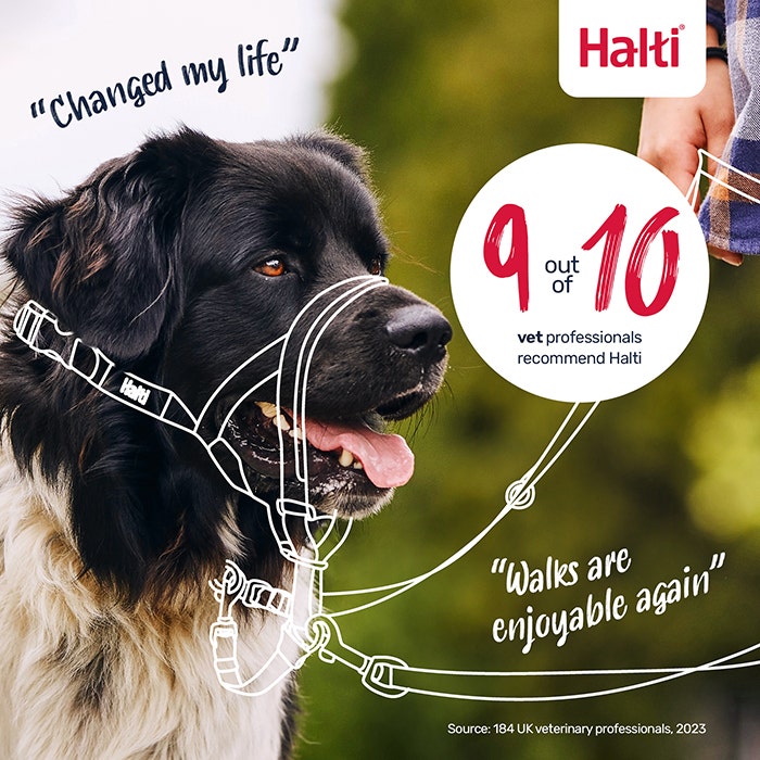 Halti Dog Head Collar Black