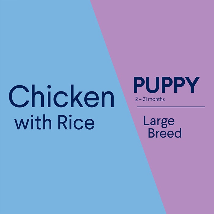 ADVANCE Puppy Large Breed Dry Dog Food Chicken with Rice