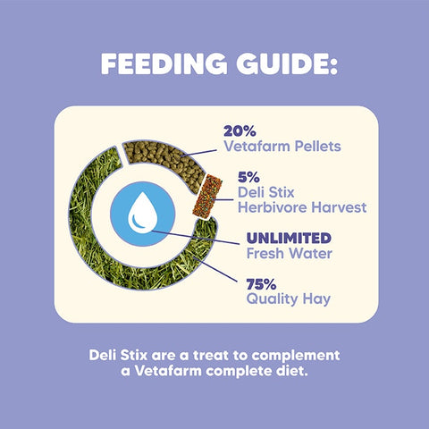 Vetafarm Origins Herbivore Harvest Small Pet Delistix 100g