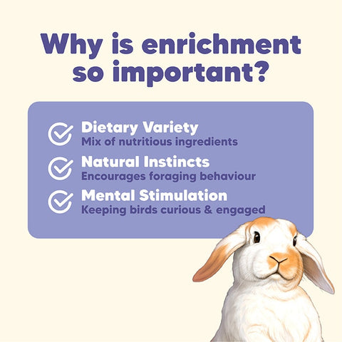 Vetafarm Origins Herbivore Harvest Small Pet Delistix 100g