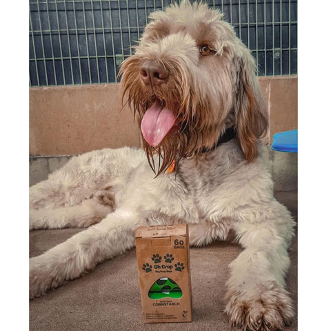 Oh Crap Compostable Dog Poop Bags