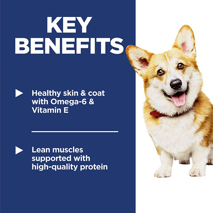 Hill's Science Diet Small Bites Adult Dog Food