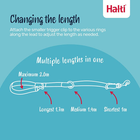 Halti Dog Lead Black