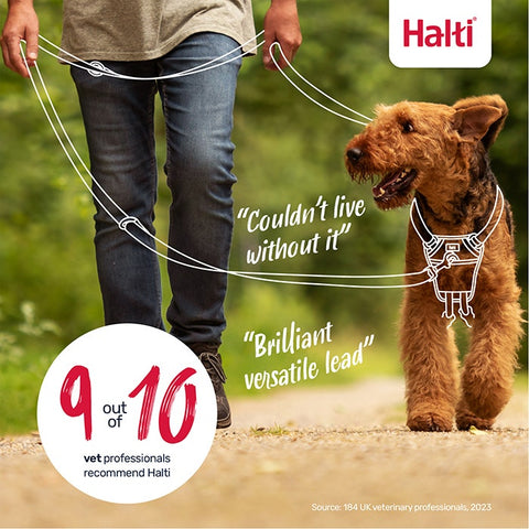 Halti Dog Lead Black