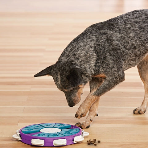 Nina Ottosson Twister Puzzle Dog Toy Purple