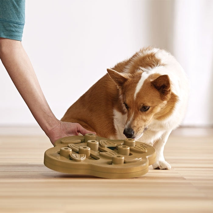 Nina Ottosson Hide & Slide Puzzle Dog Toy Brown