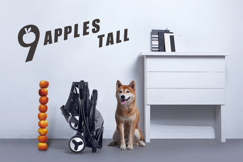 Ibiyaya Speedy Foldable Buggy Easy To Store Pet Stroller