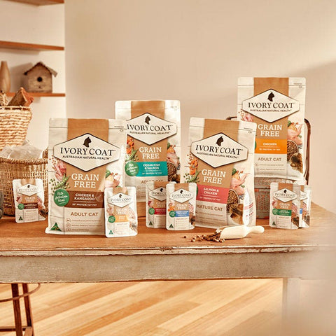 Ivory Coat Oceanfish & Salmon Cat Food