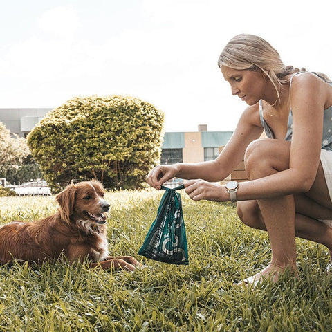 Login Biohybrid Dog Waste Bags wHandles L-120PK