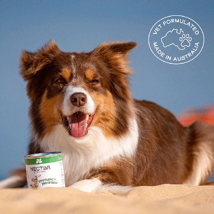 Nectar Of The Dogs Immune + Wellness Dog Soluble Powder 150g