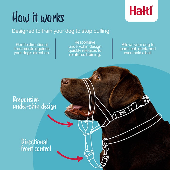 Halti Dog Head Collar Black