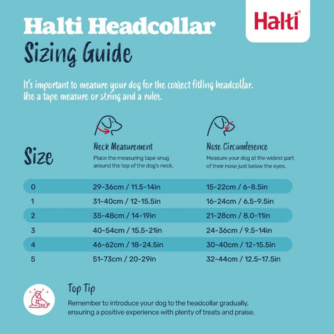 Halti Dog Head Collar Black