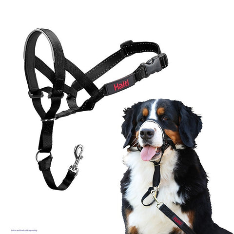 Halti Dog Head Collar Black