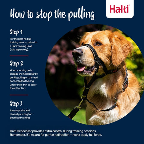 Halti Dog Head Collar Black