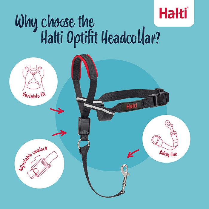 Halti Optifit Dog Head Collar Black