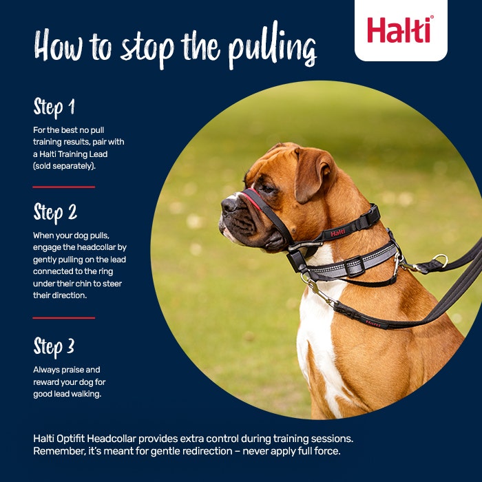 Halti Optifit Dog Head Collar Black
