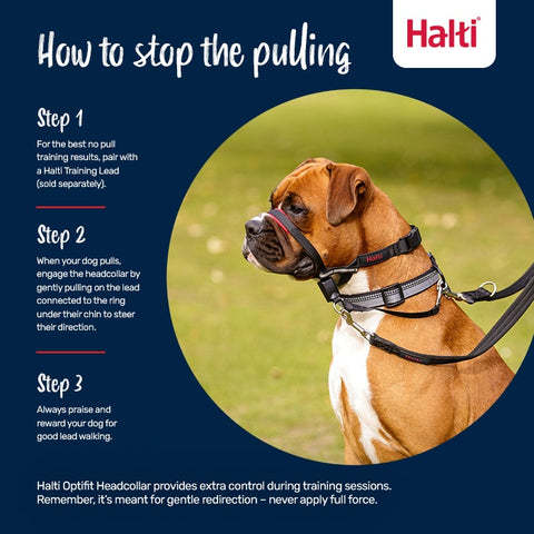Halti Optifit Dog Head Collar Black