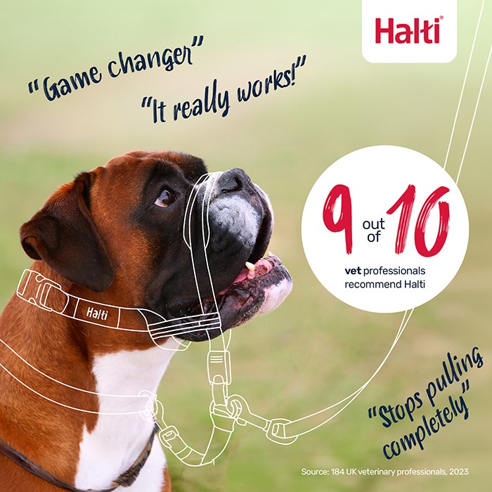 Halti Optifit Dog Head Collar Black