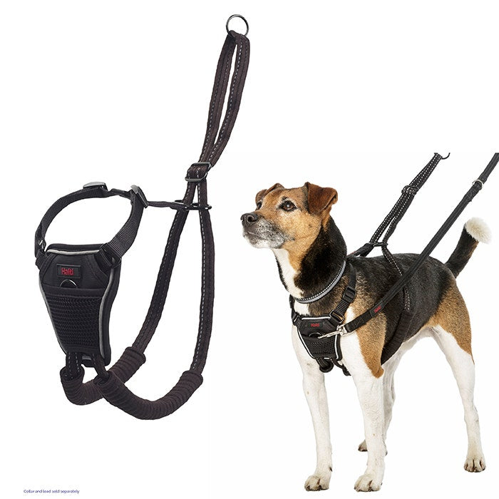 Halti No Pull Dog Harness Black