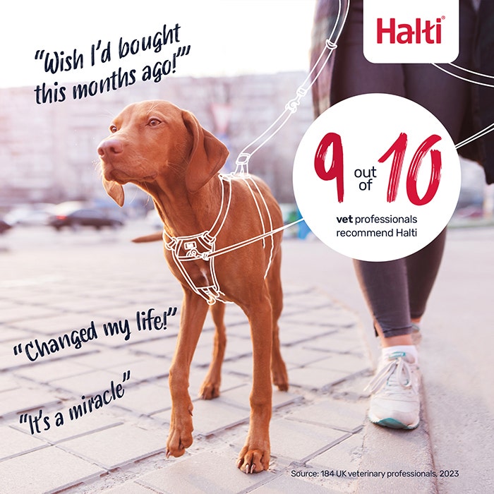 Halti No Pull Dog Harness Black