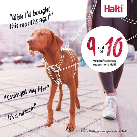 Halti No Pull Dog Harness Black