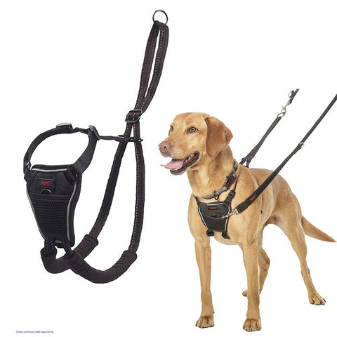 Halti No Pull Dog Harness Black