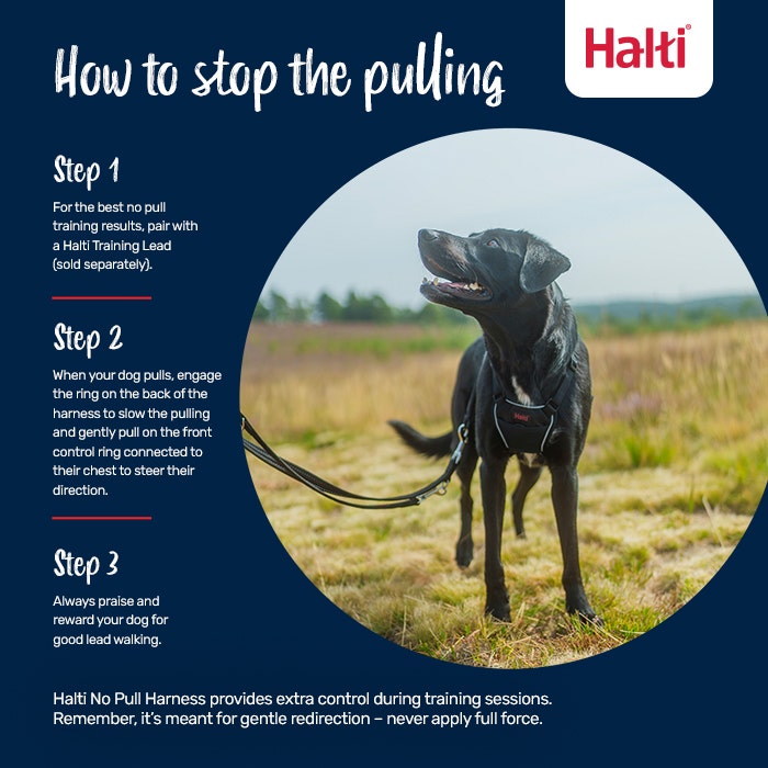 Halti No Pull Dog Harness Black
