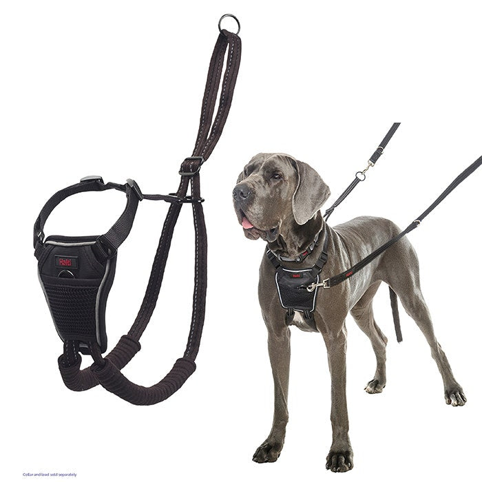 Halti No Pull Dog Harness Black