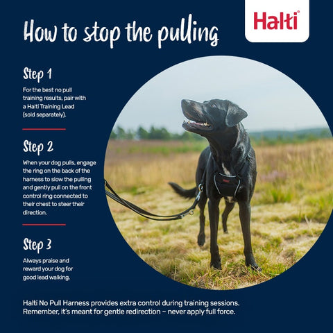 Halti No Pull Dog Harness Black