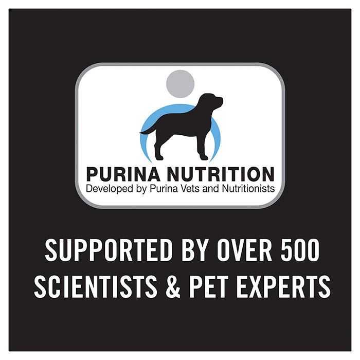 Pro Plan Chicken Starter Medium Breed Puppy Food 12kg