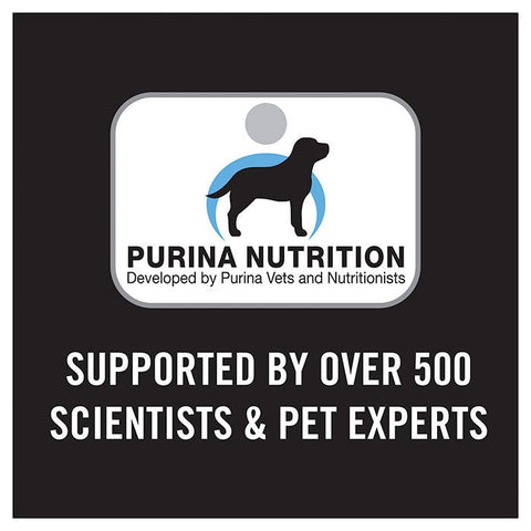 Pro Plan Chicken Starter Medium Breed Puppy Food 12kg