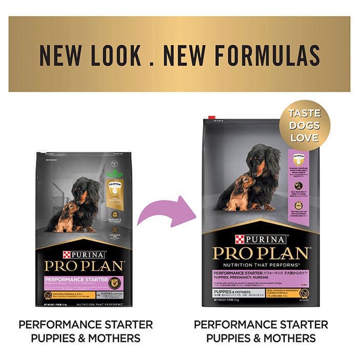 Pro Plan Chicken Starter Medium Breed Puppy Food 12kg