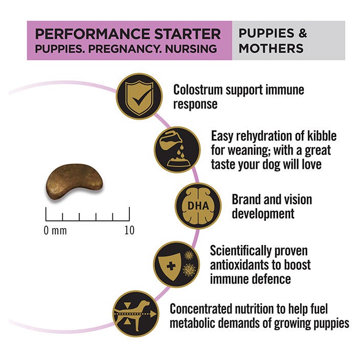 Pro Plan Chicken Starter Medium Breed Puppy Food 12kg