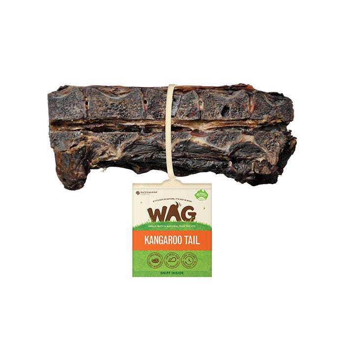 WAG Tail Bone Dog Treat 1PK