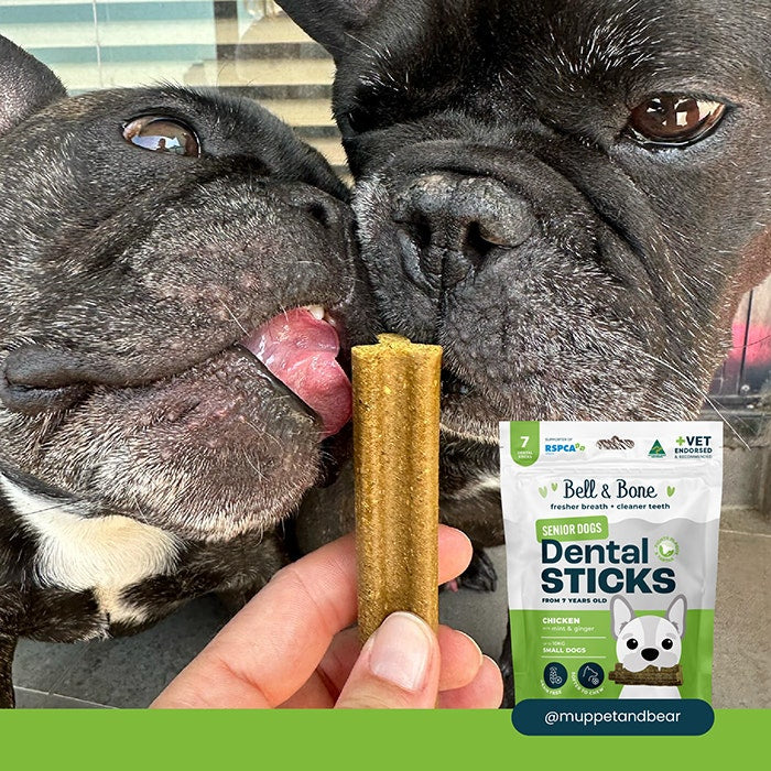 B&B Dental Stick Chicken Senior Dog Treat