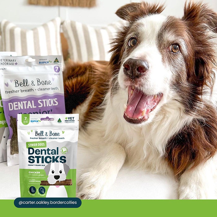 B&B Dental Stick Chicken Senior Dog Treat