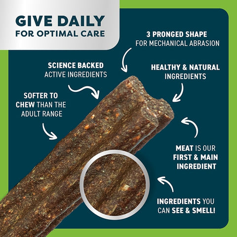 B&B Dental Stick Chicken Senior Dog Treat