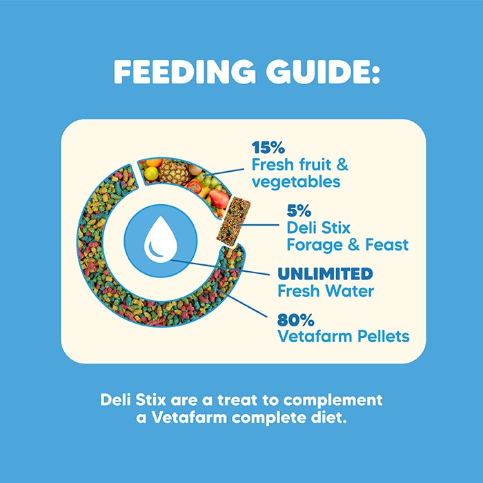 Vetafarm Forage & Feast Bird Delistix 100g