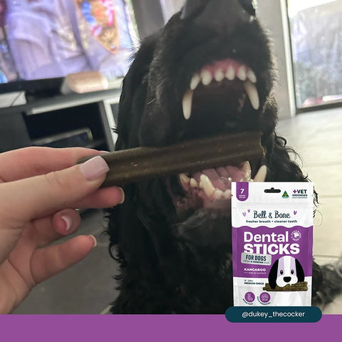Bell & Bone Dental Stick Kangaroo Dog Treat 1PK