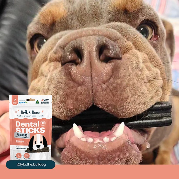 Bell & Bone Dental Stick Salmon Dog Treat 1PK