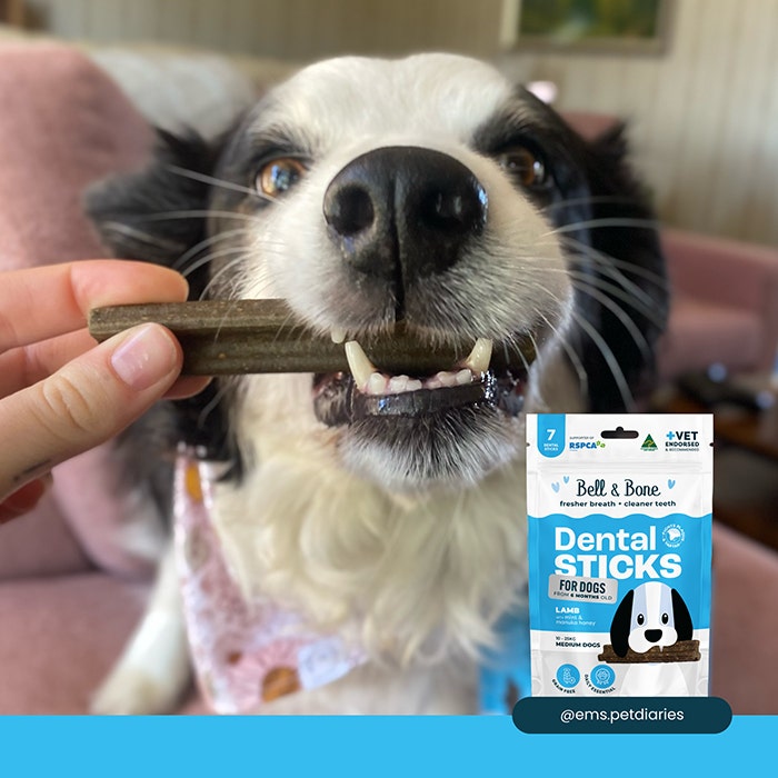 Bell & Bone Dental Stick Lamb Dog Treat 1PK