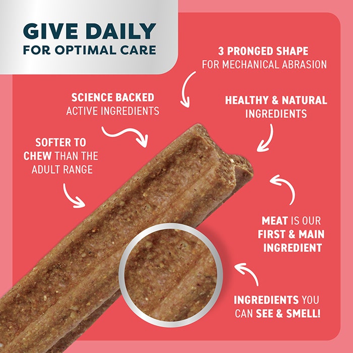 Bell & Bone Dental Stick Beef Puppy Treat 1PK