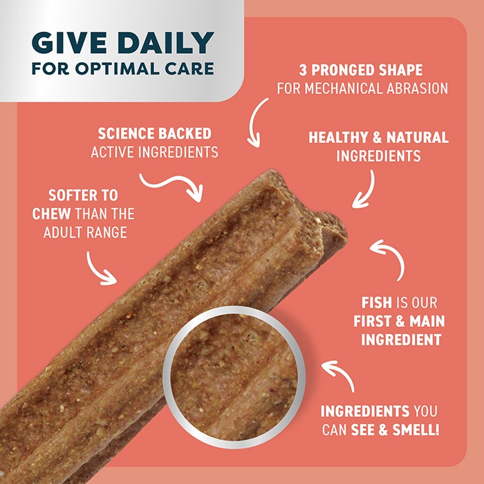 Bell & Bone Dental Stick Salmon Puppy Treat 1PK