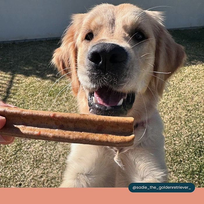 Bell & Bone Dental Stick Salmon Puppy Treat 1PK