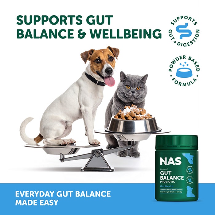 Natural Animal Solutions Probiotic Pet Powder 80g