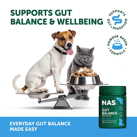 Natural Animal Solutions Probiotic Pet Powder 80g