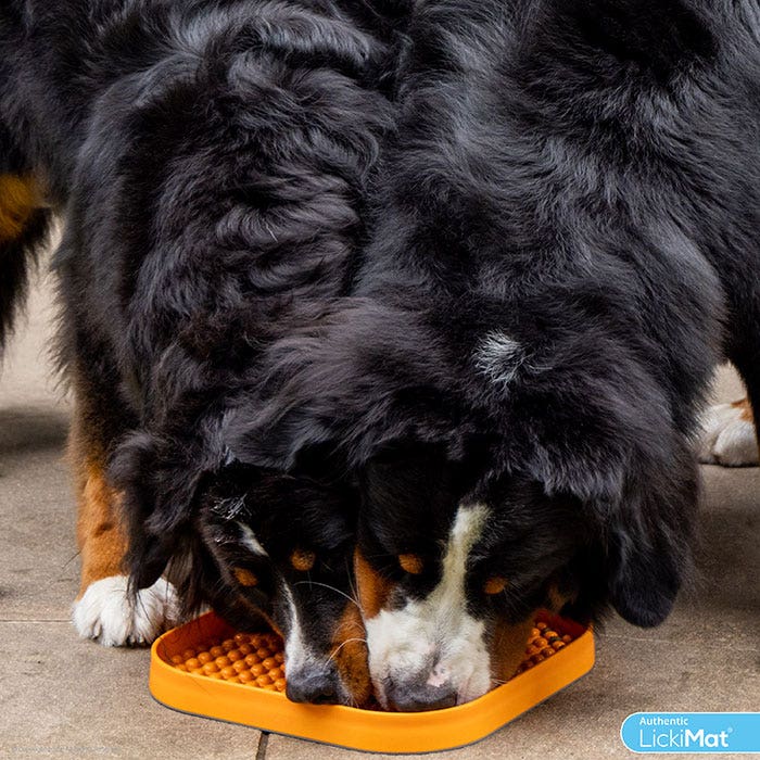 Lickimat Slomo Dog Feeder Black 30x33cm