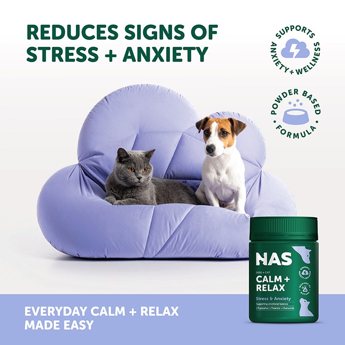 Natural Animal Solutions Calm & Relax Dog Powder 120g