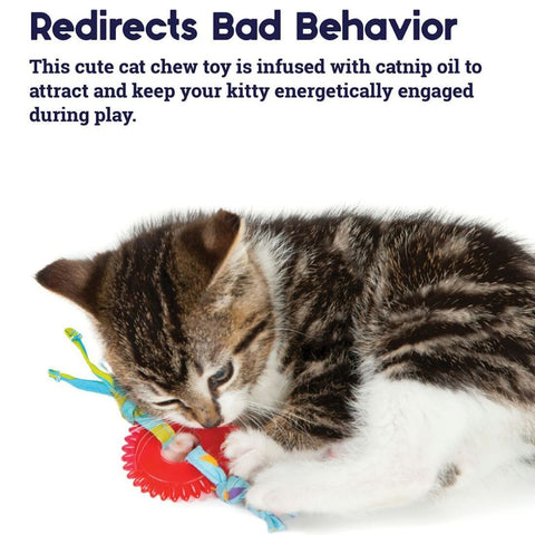 Petstages Kitty Chew Wheel Interactive Textured Cat Toy