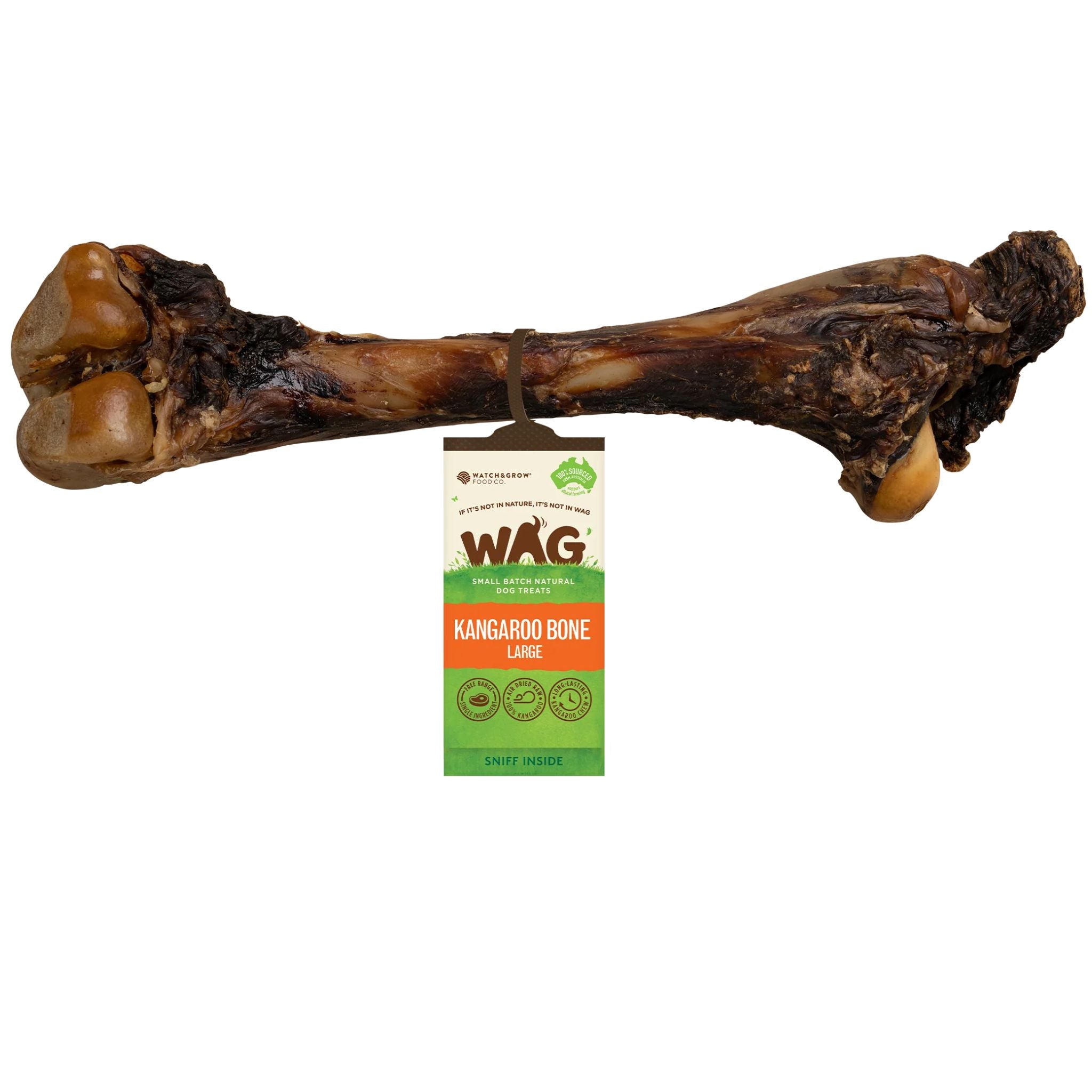 WAG Kangaroo Large Bone 1- Pack| petsome Pet Supplies